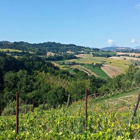 Biancopecora Villa Sant'Elpidio Morico Eksteriør billede