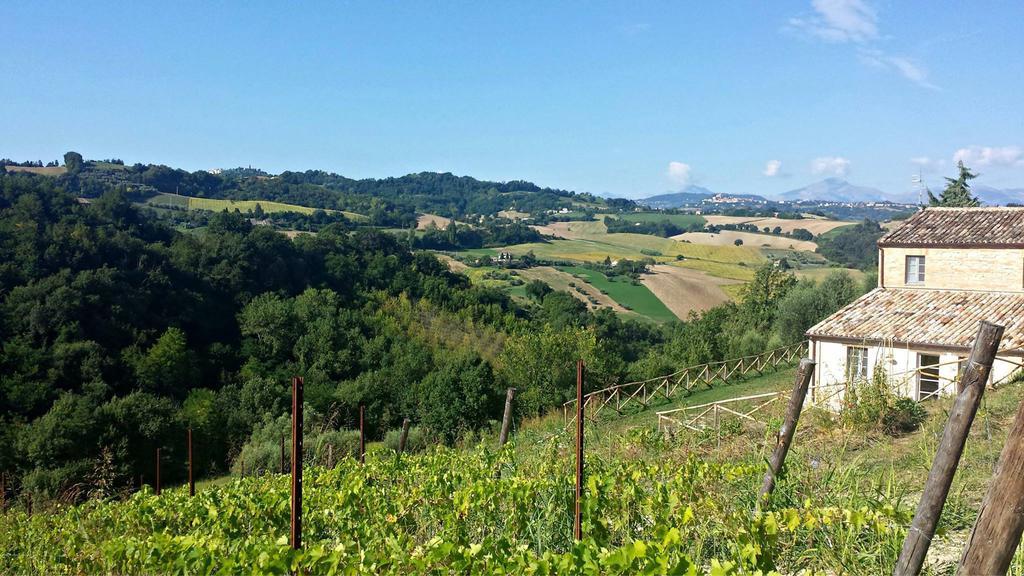 Biancopecora Villa Sant'Elpidio Morico Eksteriør billede