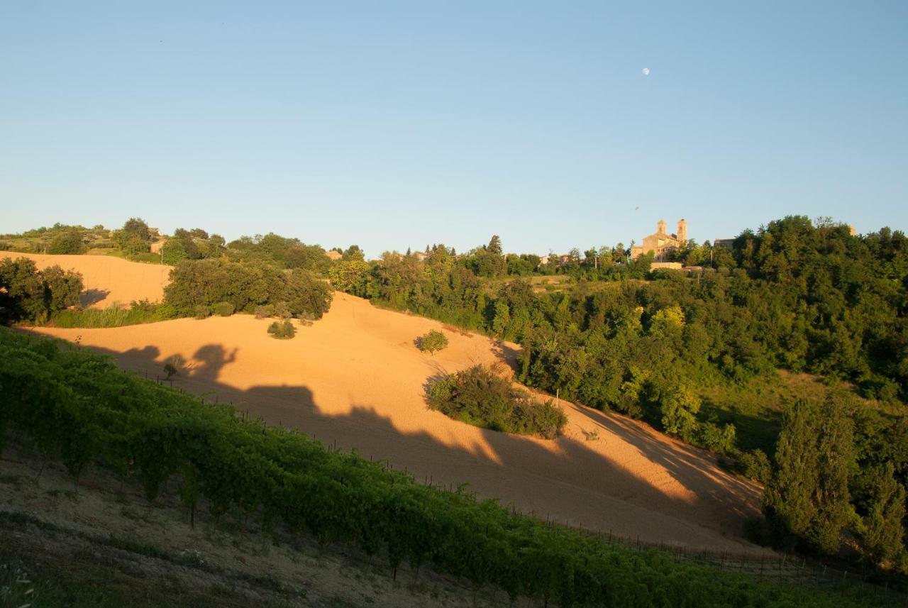 Biancopecora Villa Sant'Elpidio Morico Eksteriør billede